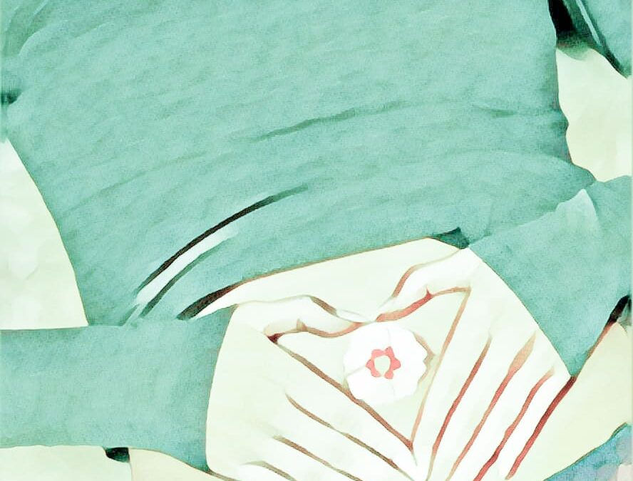 Eine Frau liegt auf dem Rücken, ihr Bauch ist zu sehen. Die Hände formen ein Herz auf dem Bauch. In der Mitte eine Blume