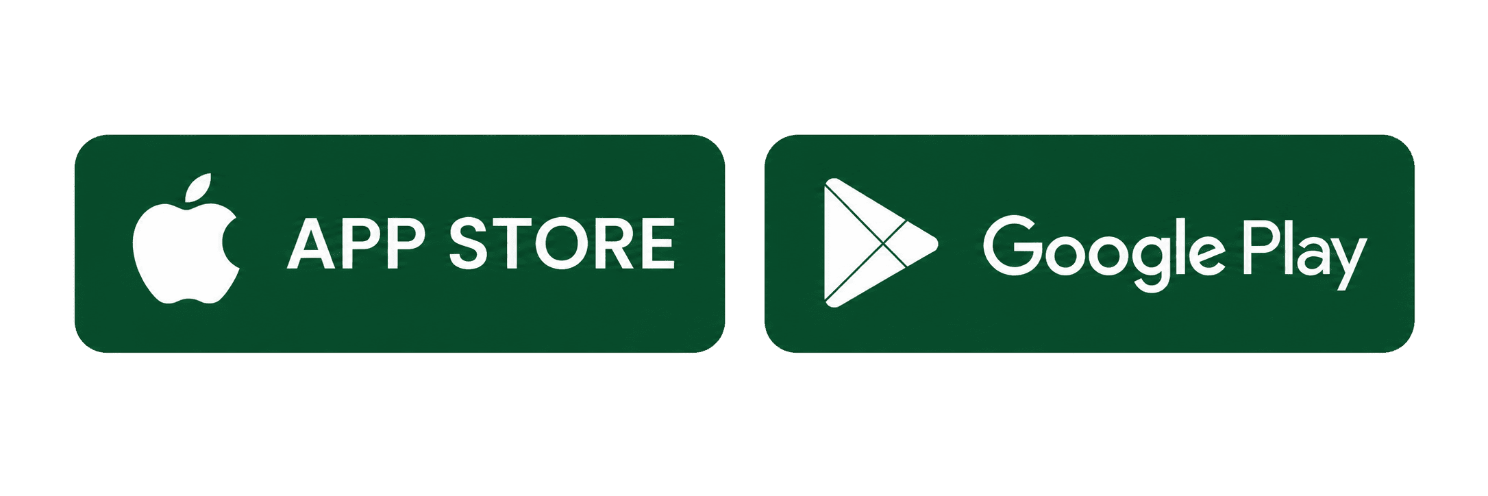 App Store Google Play 6 2 buttons to App Store and Google Play store