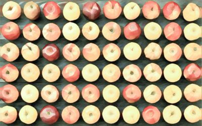 ADHD and Comorbidities in Adults: Understanding the Bigger Picture